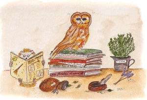 hibou revues debut 001