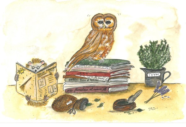 chouette sur magazines partie basse