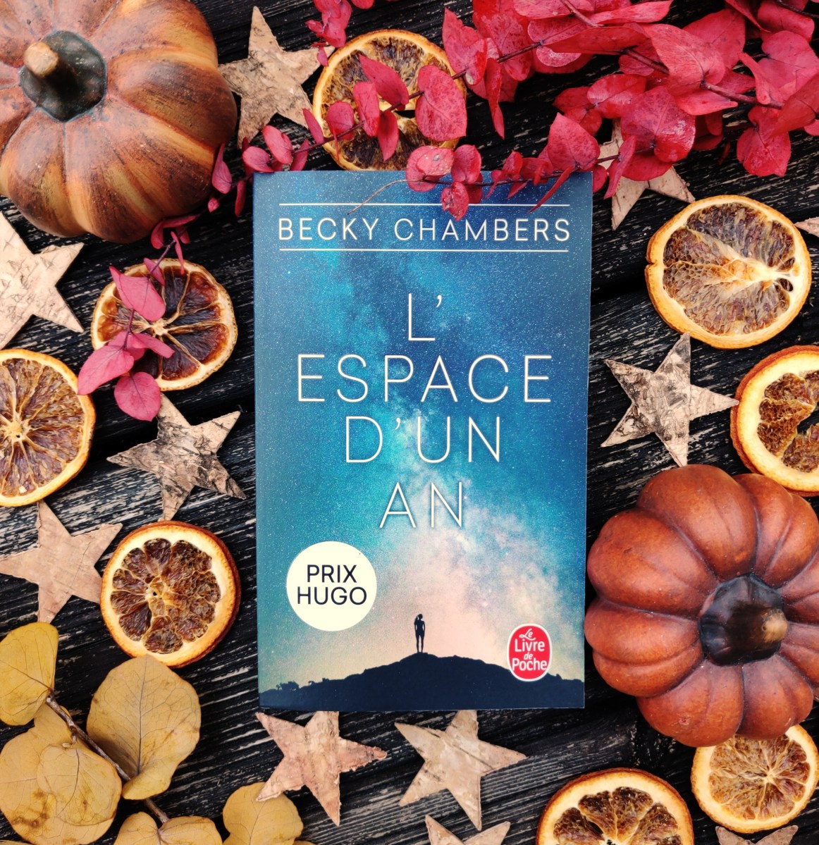 L’espace d’un an Becky Chambers Hélène Louise Auteure — free download